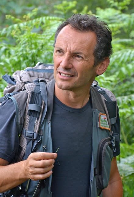 Mauro conti